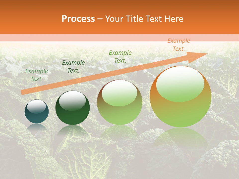 Agriculture Collard Greens Organic PowerPoint Template