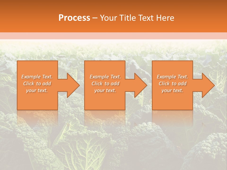 Agriculture Collard Greens Organic PowerPoint Template