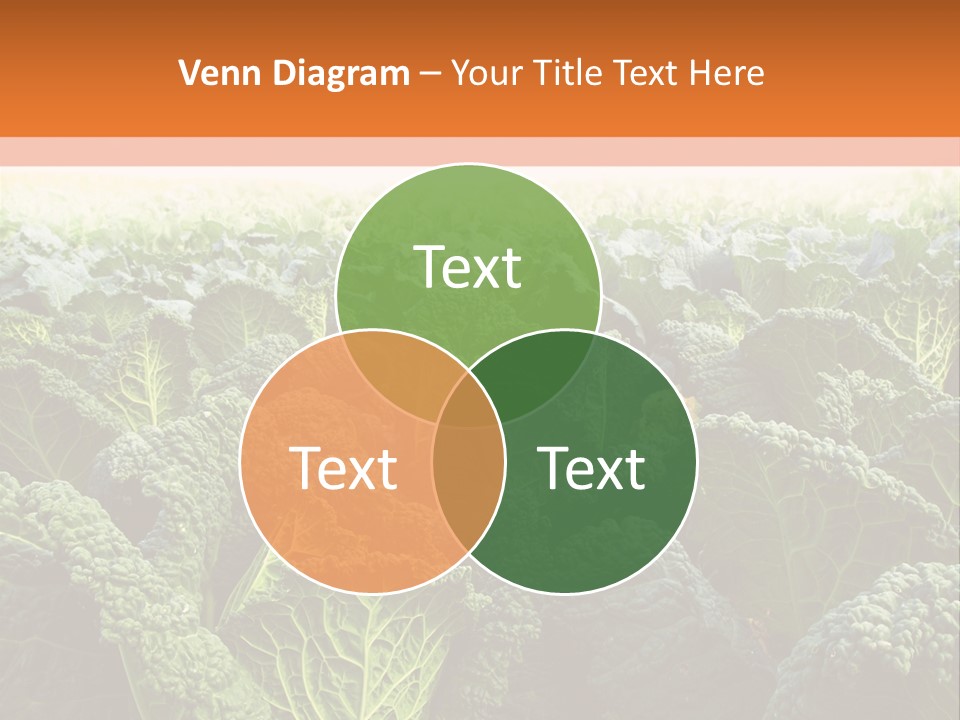 Agriculture Collard Greens Organic PowerPoint Template