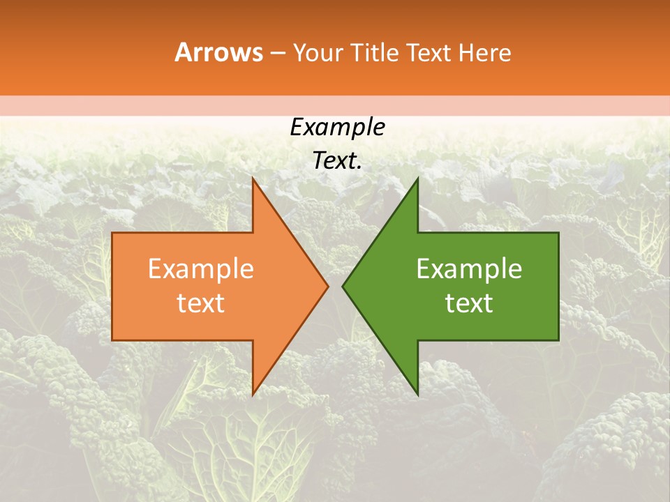 Agriculture Collard Greens Organic PowerPoint Template