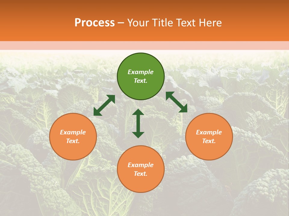 Agriculture Collard Greens Organic PowerPoint Template