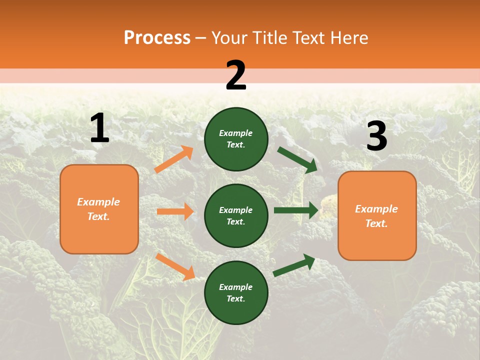 Agriculture Collard Greens Organic PowerPoint Template