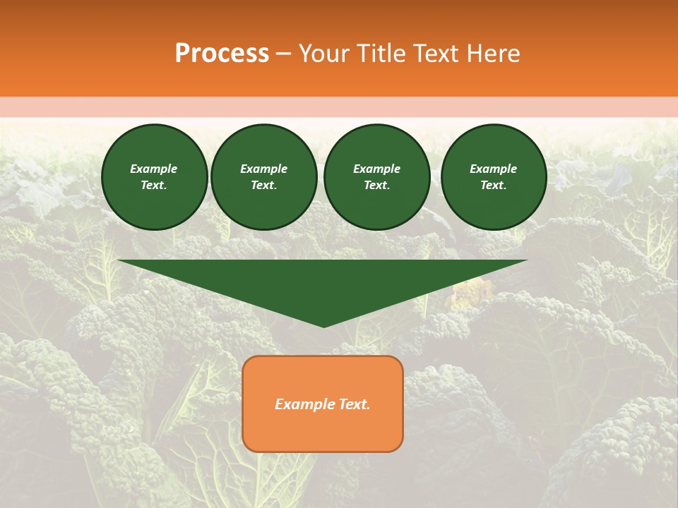 Agriculture Collard Greens Organic PowerPoint Template