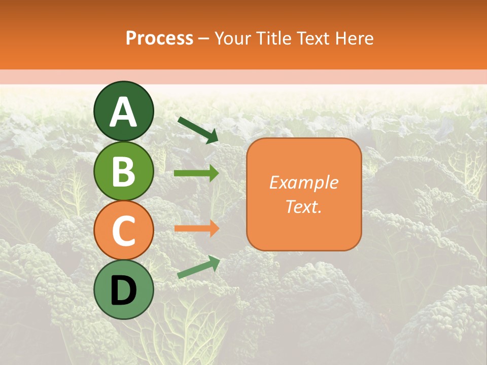 Agriculture Collard Greens Organic PowerPoint Template