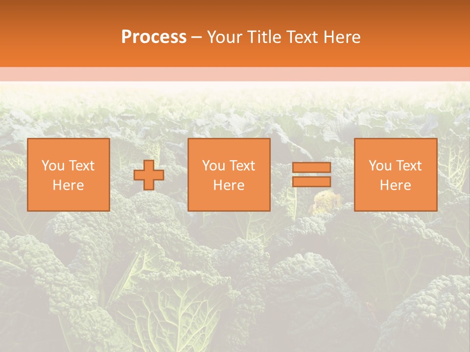 Agriculture Collard Greens Organic PowerPoint Template