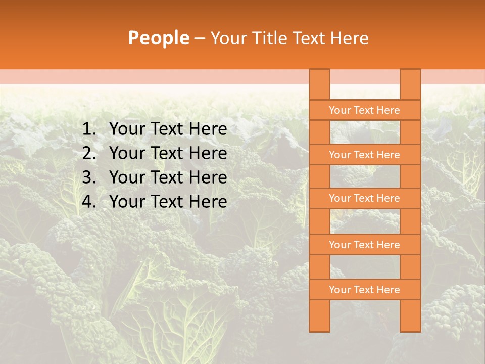 Agriculture Collard Greens Organic PowerPoint Template