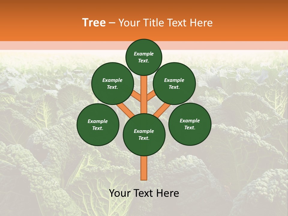 Agriculture Collard Greens Organic PowerPoint Template