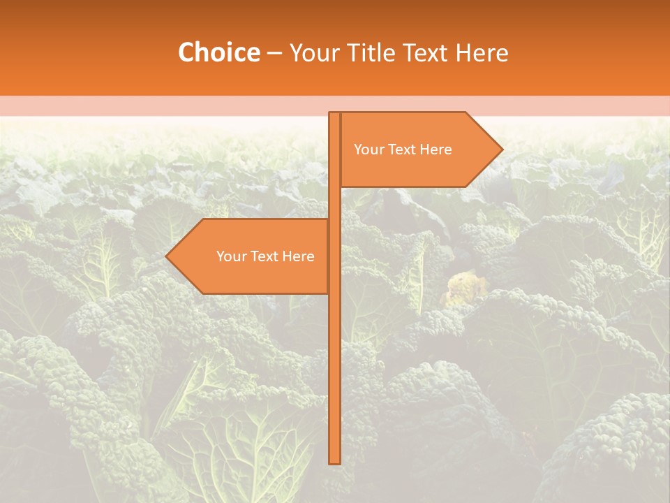 Agriculture Collard Greens Organic PowerPoint Template