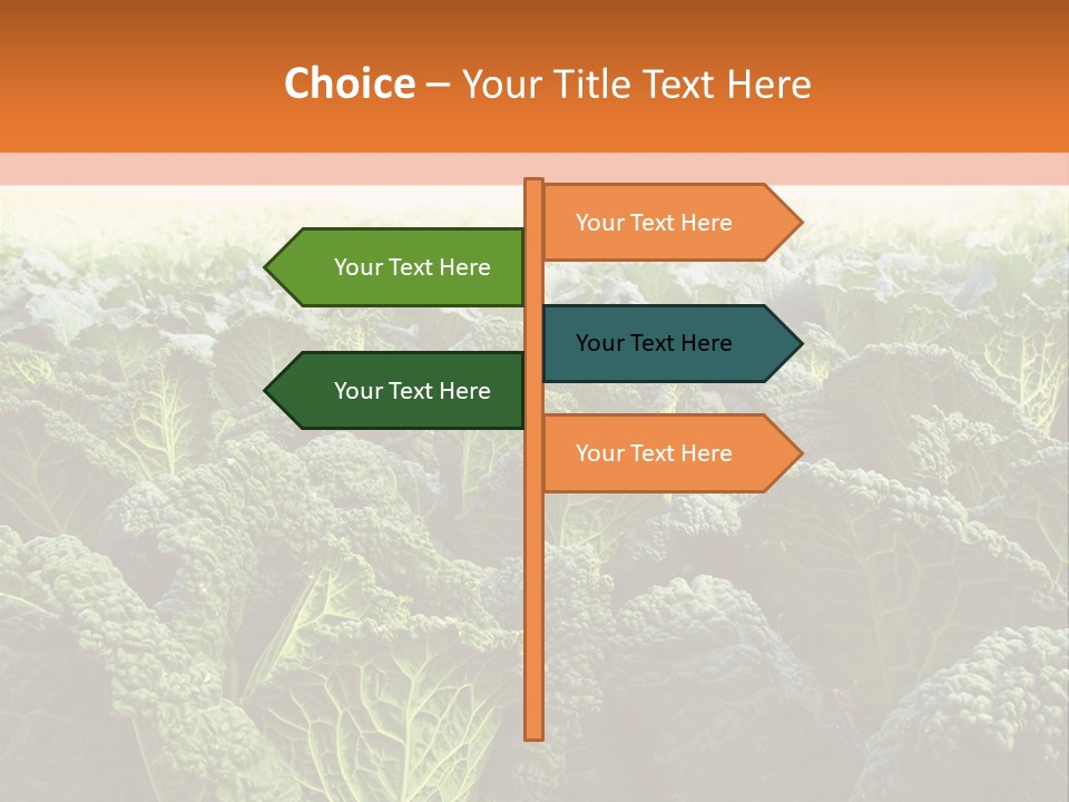 Agriculture Collard Greens Organic PowerPoint Template