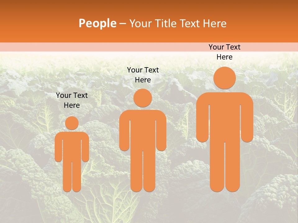 Agriculture Collard Greens Organic PowerPoint Template