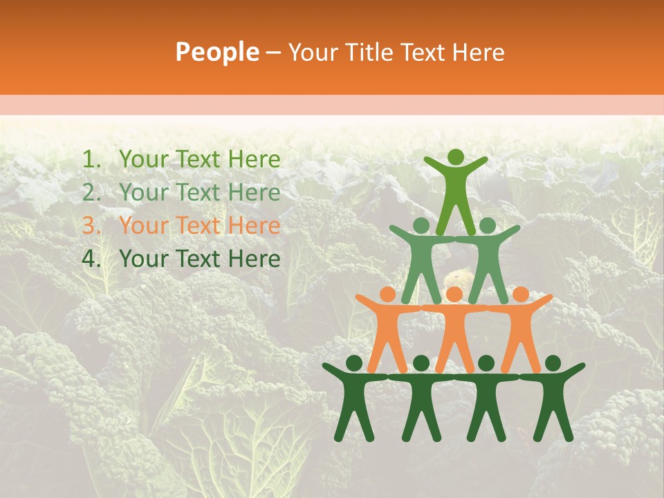 Agriculture Collard Greens Organic PowerPoint Template