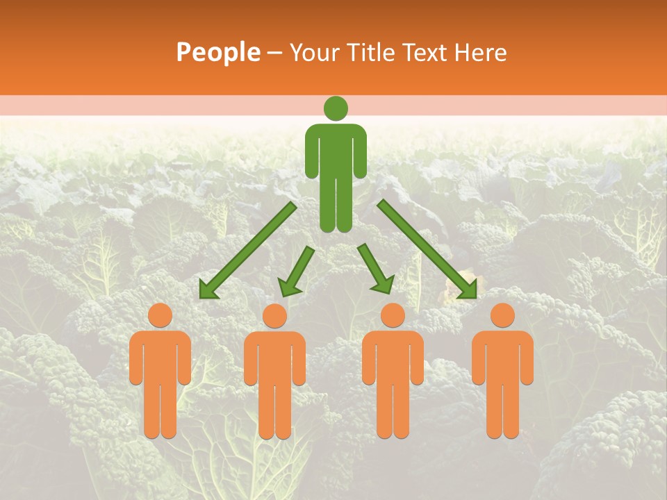 Agriculture Collard Greens Organic PowerPoint Template