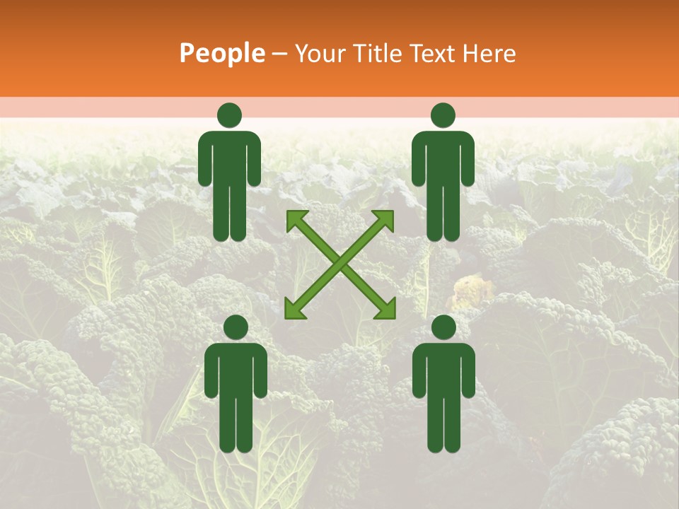 Agriculture Collard Greens Organic PowerPoint Template