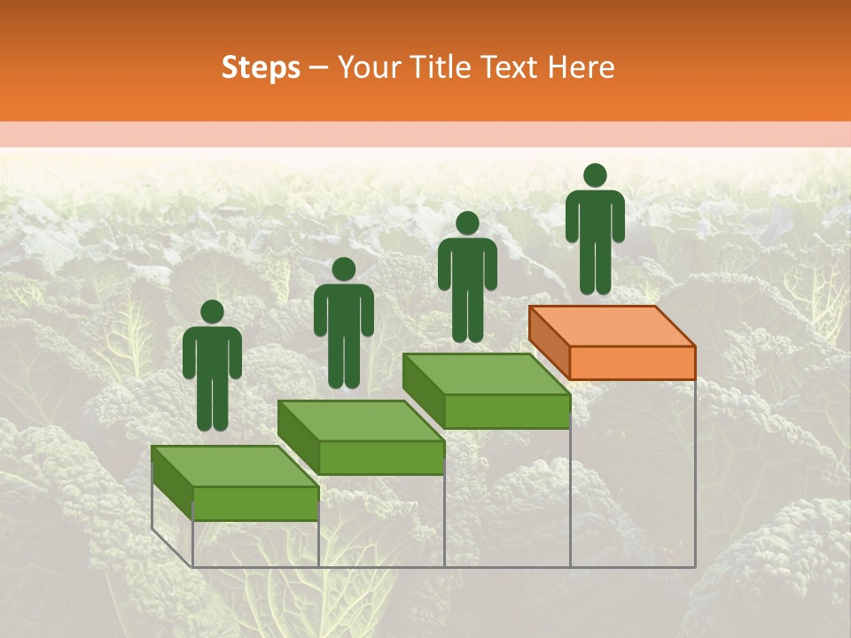 Agriculture Collard Greens Organic PowerPoint Template