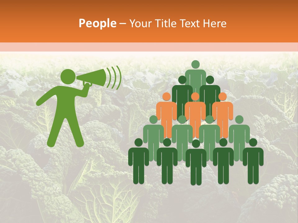 Agriculture Collard Greens Organic PowerPoint Template