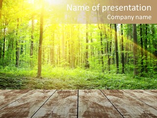 Nature Green Forest PowerPoint Template