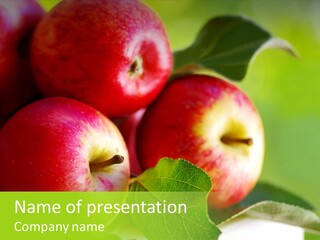 Delicious Food Plant PowerPoint Template