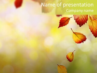 Pattern Fall Leaf PowerPoint Template