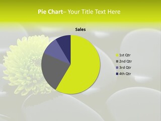 Tranquil Contrast Abstract PowerPoint Template