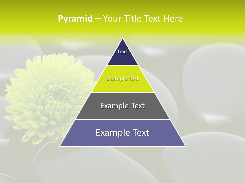 Tranquil Contrast Abstract PowerPoint Template