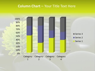 Tranquil Contrast Abstract PowerPoint Template