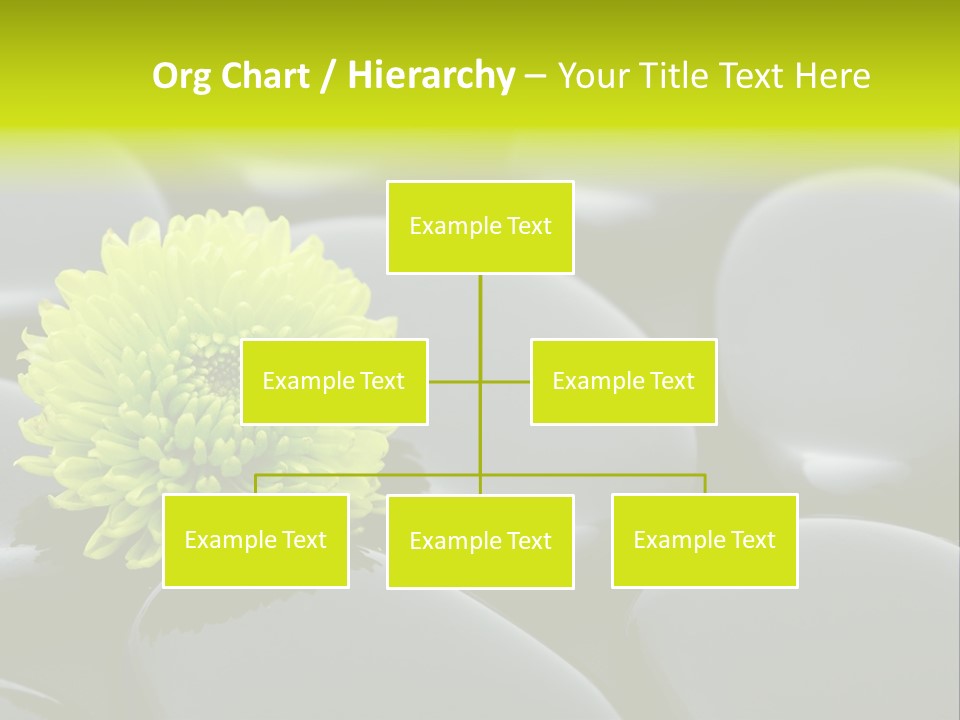 Tranquil Contrast Abstract PowerPoint Template