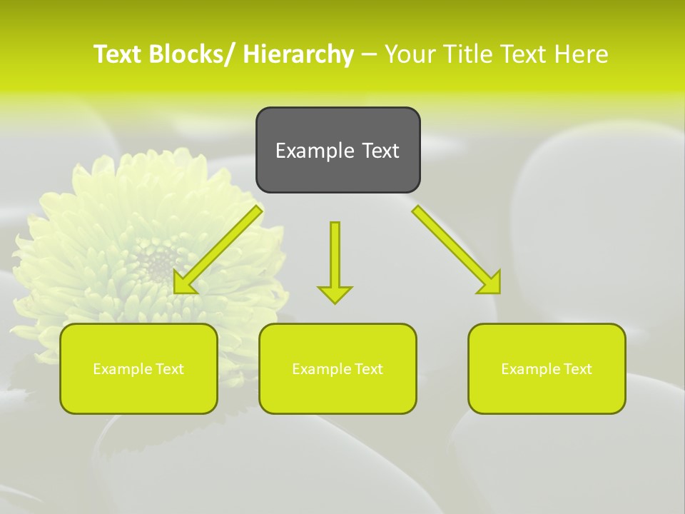 Tranquil Contrast Abstract PowerPoint Template