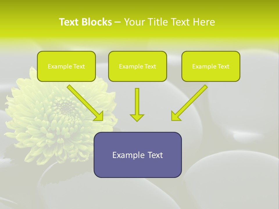 Tranquil Contrast Abstract PowerPoint Template
