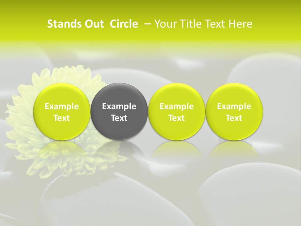 Tranquil Contrast Abstract PowerPoint Template