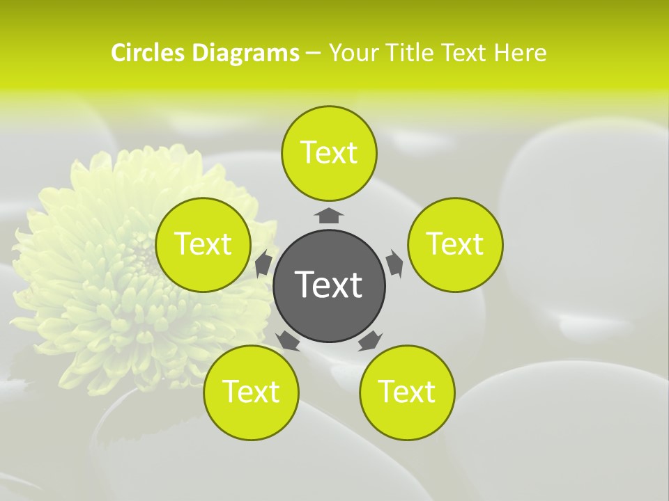 Tranquil Contrast Abstract PowerPoint Template