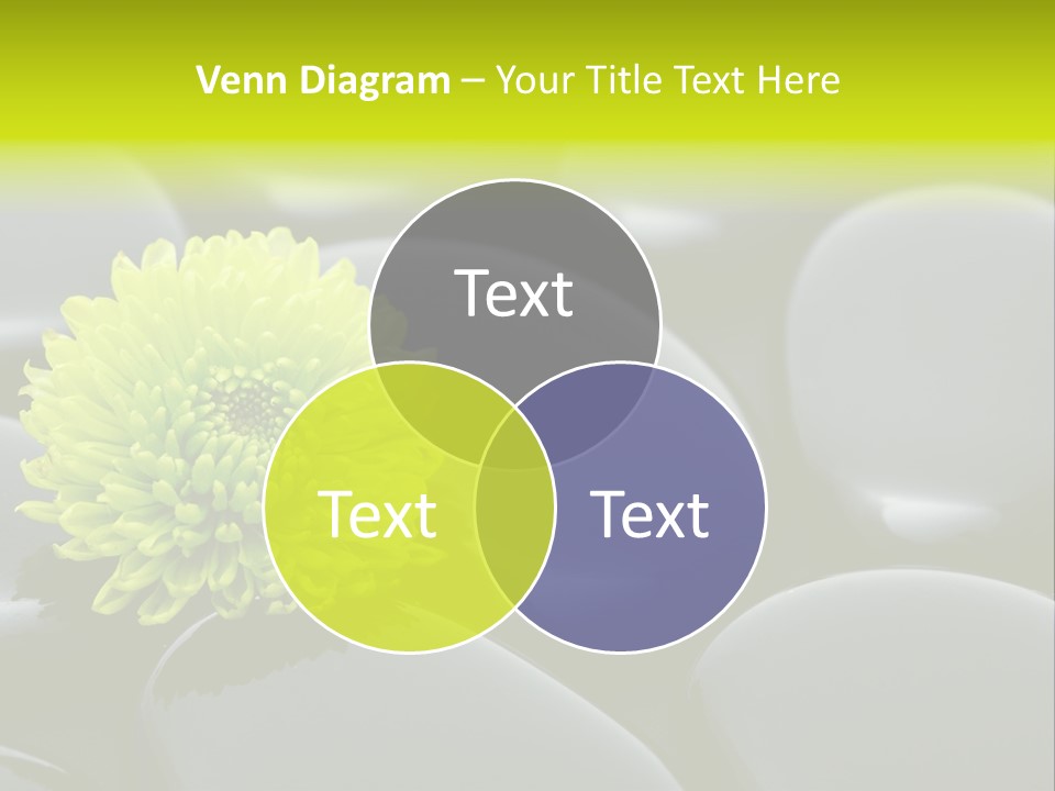 Tranquil Contrast Abstract PowerPoint Template