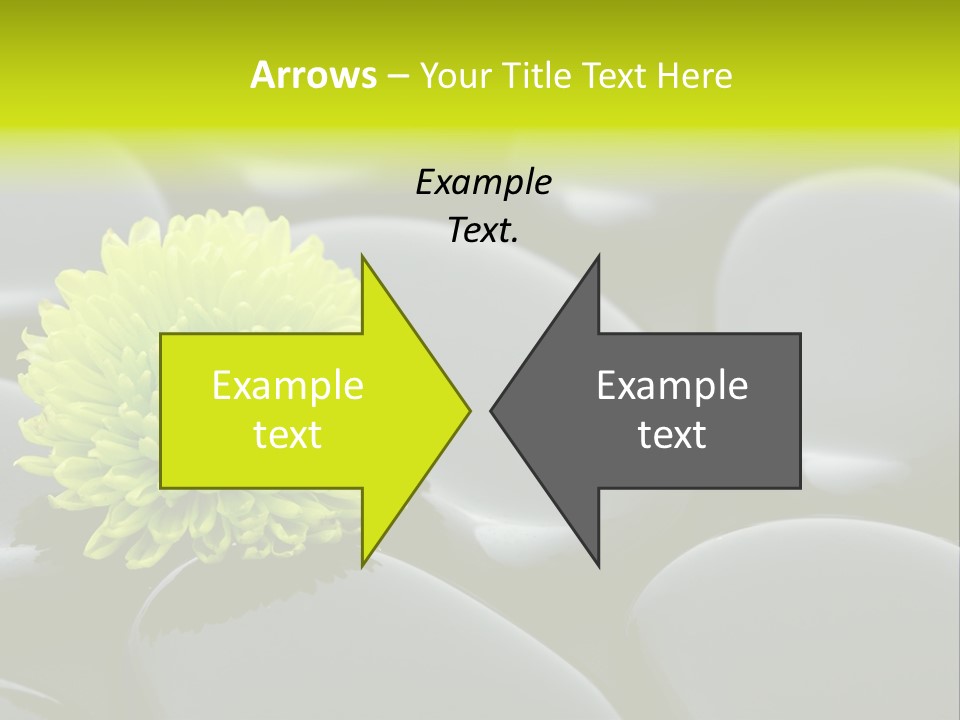 Tranquil Contrast Abstract PowerPoint Template