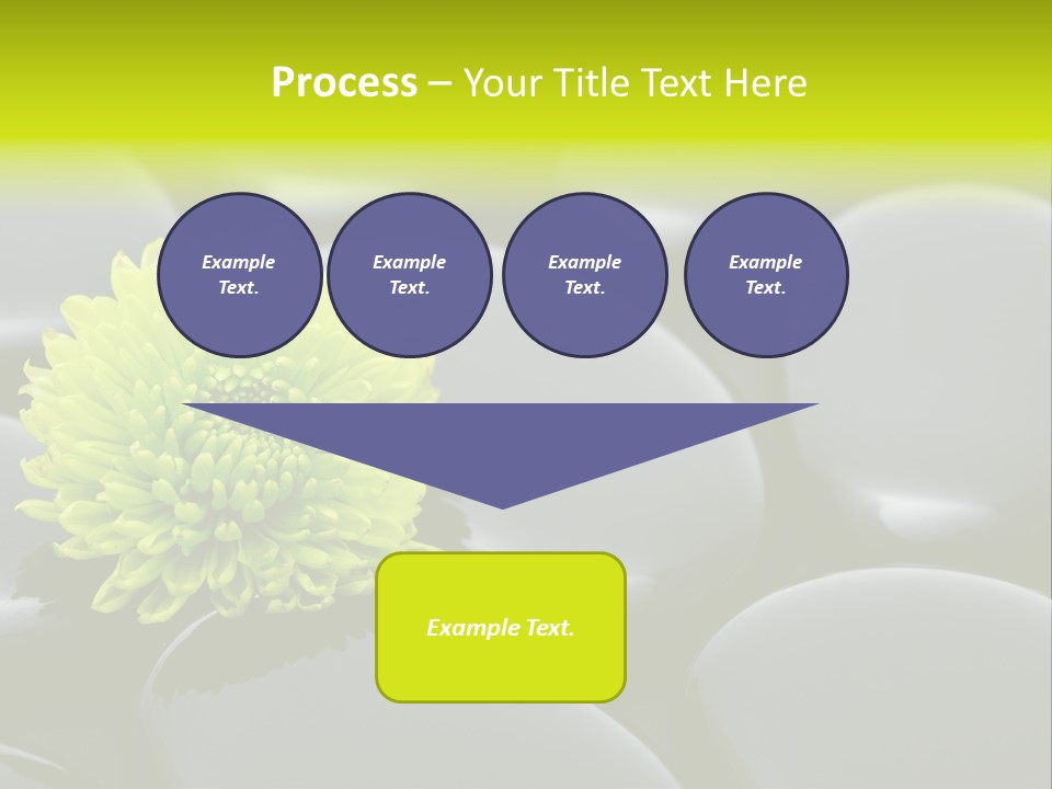 Tranquil Contrast Abstract PowerPoint Template