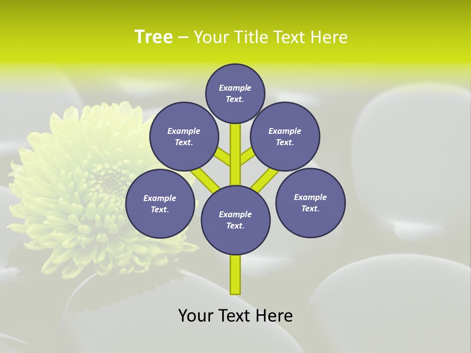 Tranquil Contrast Abstract PowerPoint Template