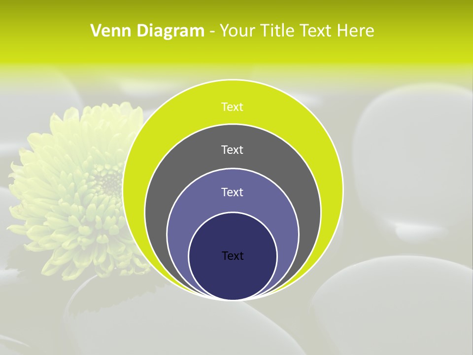 Tranquil Contrast Abstract PowerPoint Template