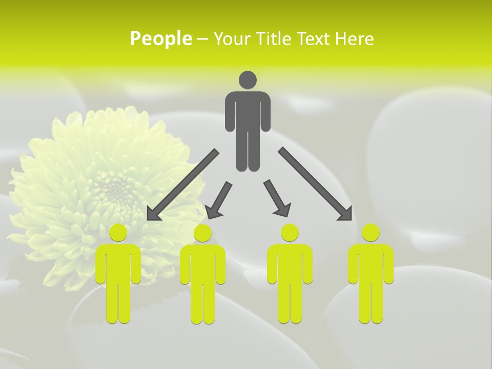 Tranquil Contrast Abstract PowerPoint Template