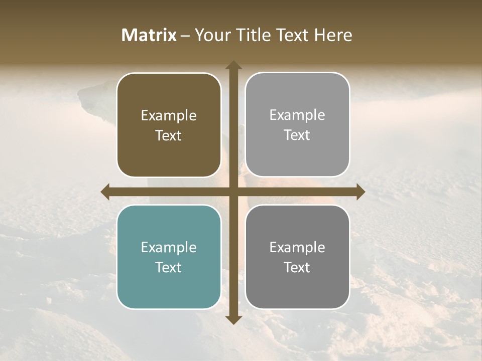 Cold Young Animal PowerPoint Template