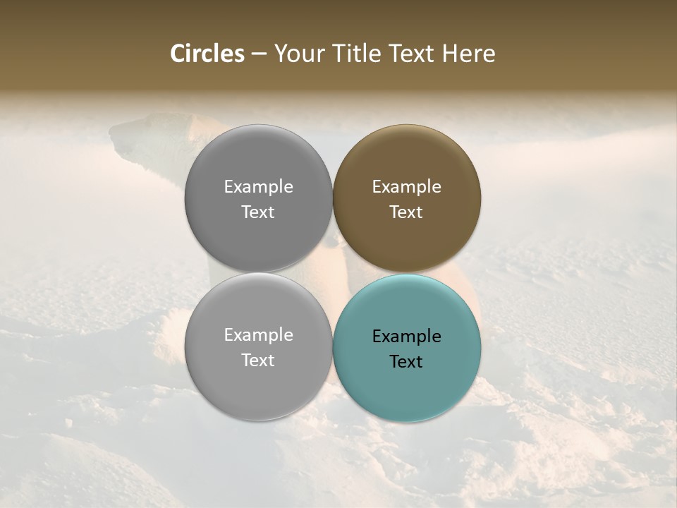 Cold Young Animal PowerPoint Template