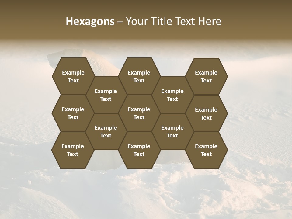 Cold Young Animal PowerPoint Template