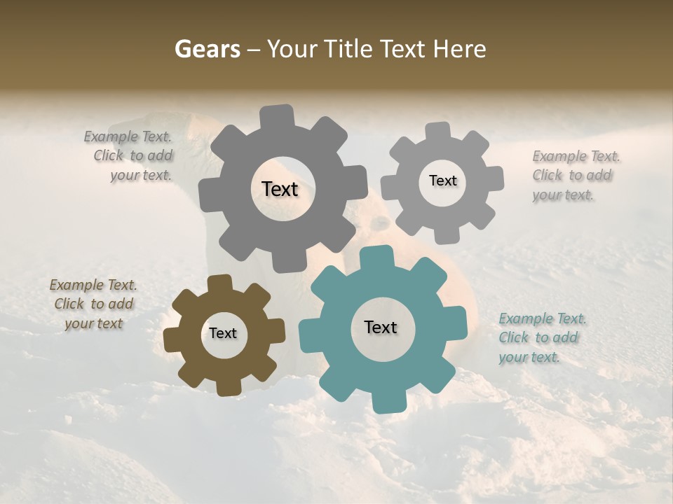 Cold Young Animal PowerPoint Template