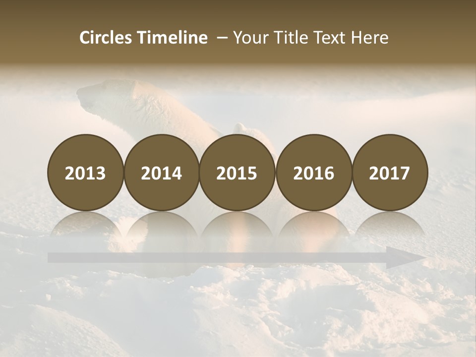 Cold Young Animal PowerPoint Template