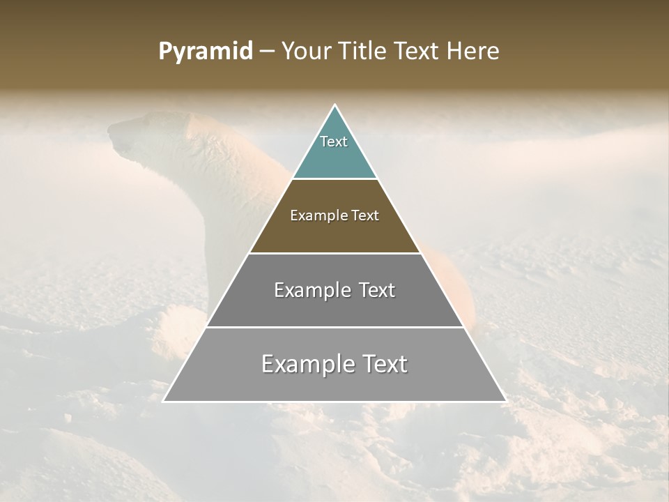 Cold Young Animal PowerPoint Template