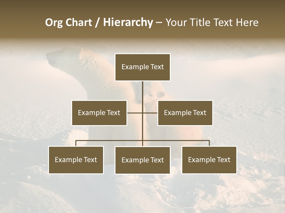 Cold Young Animal PowerPoint Template