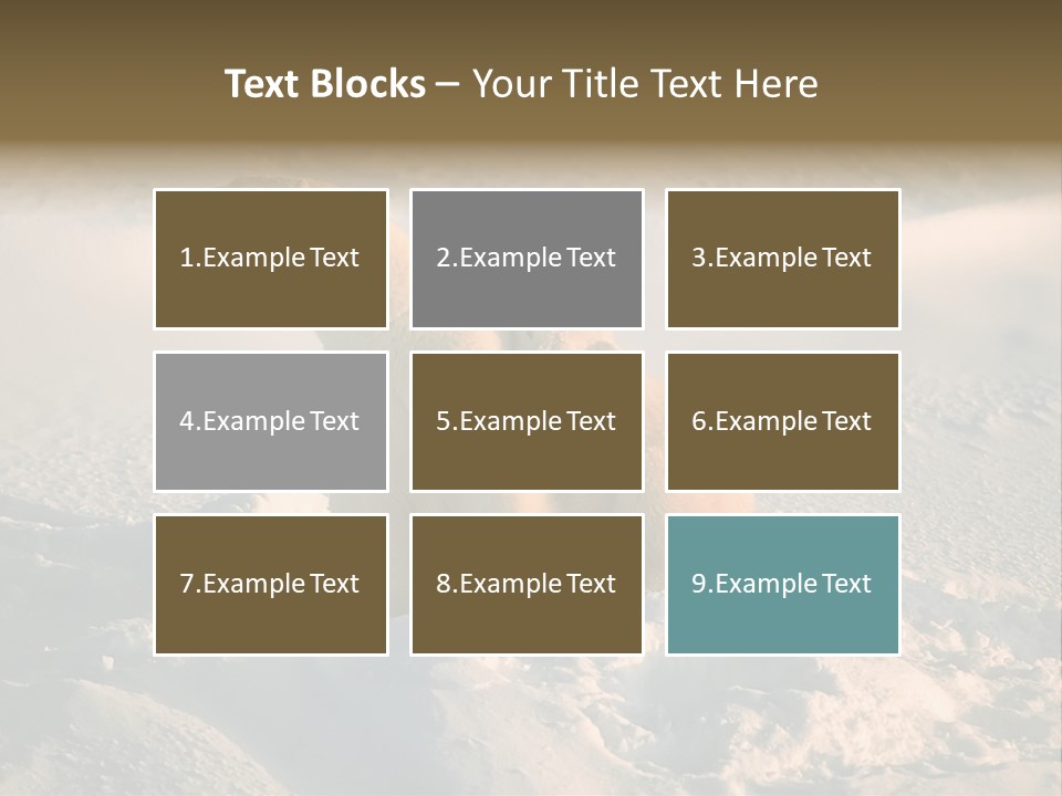 Cold Young Animal PowerPoint Template