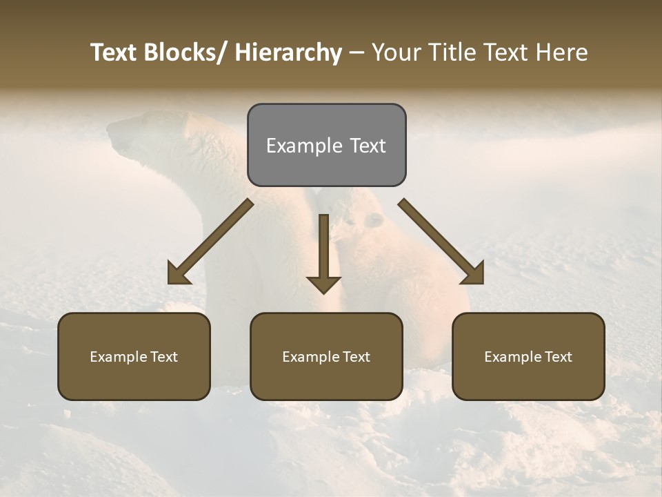 Cold Young Animal PowerPoint Template