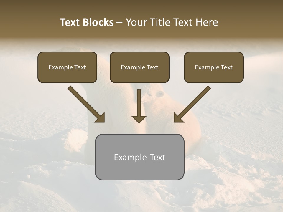 Cold Young Animal PowerPoint Template