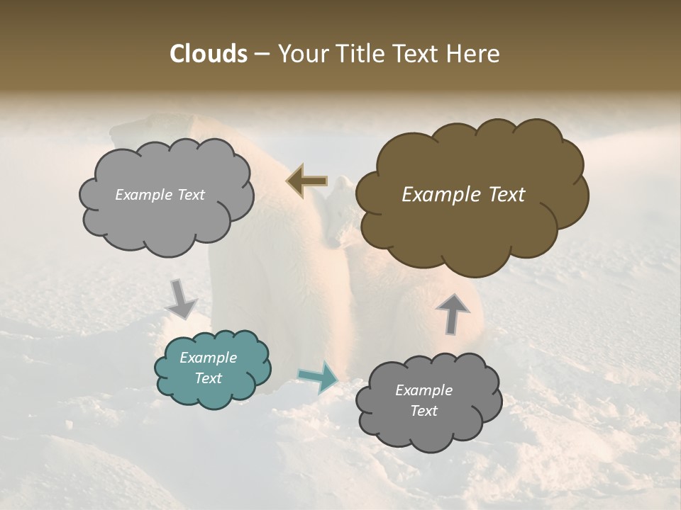 Cold Young Animal PowerPoint Template