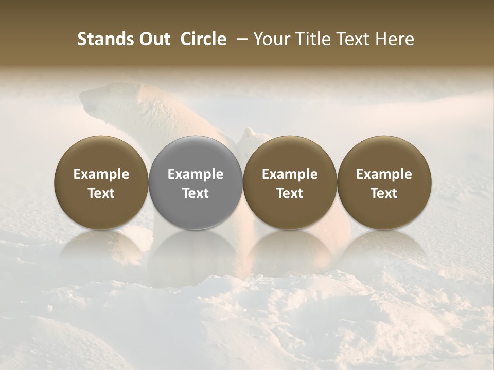 Cold Young Animal PowerPoint Template