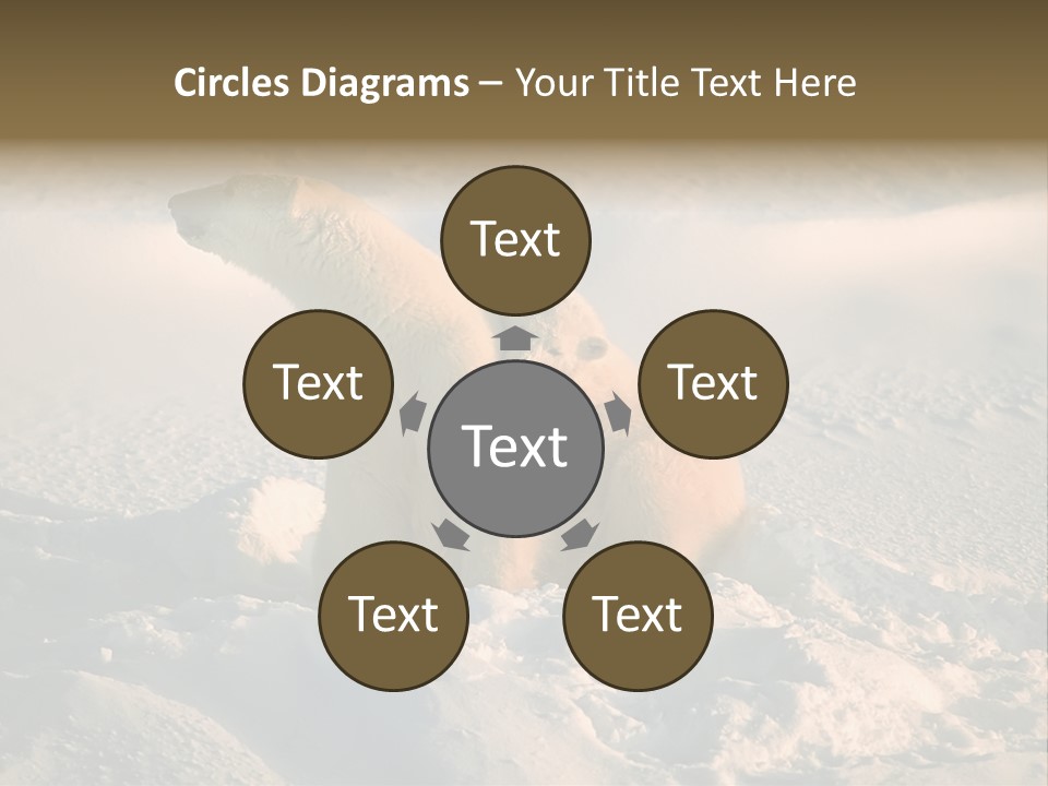 Cold Young Animal PowerPoint Template