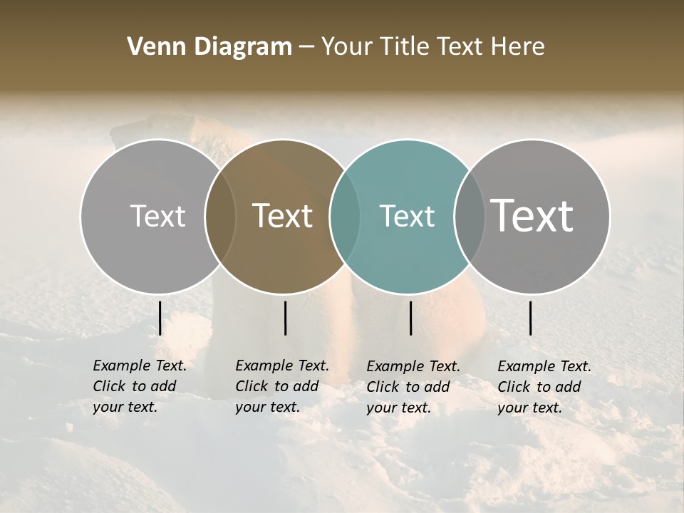 Cold Young Animal PowerPoint Template